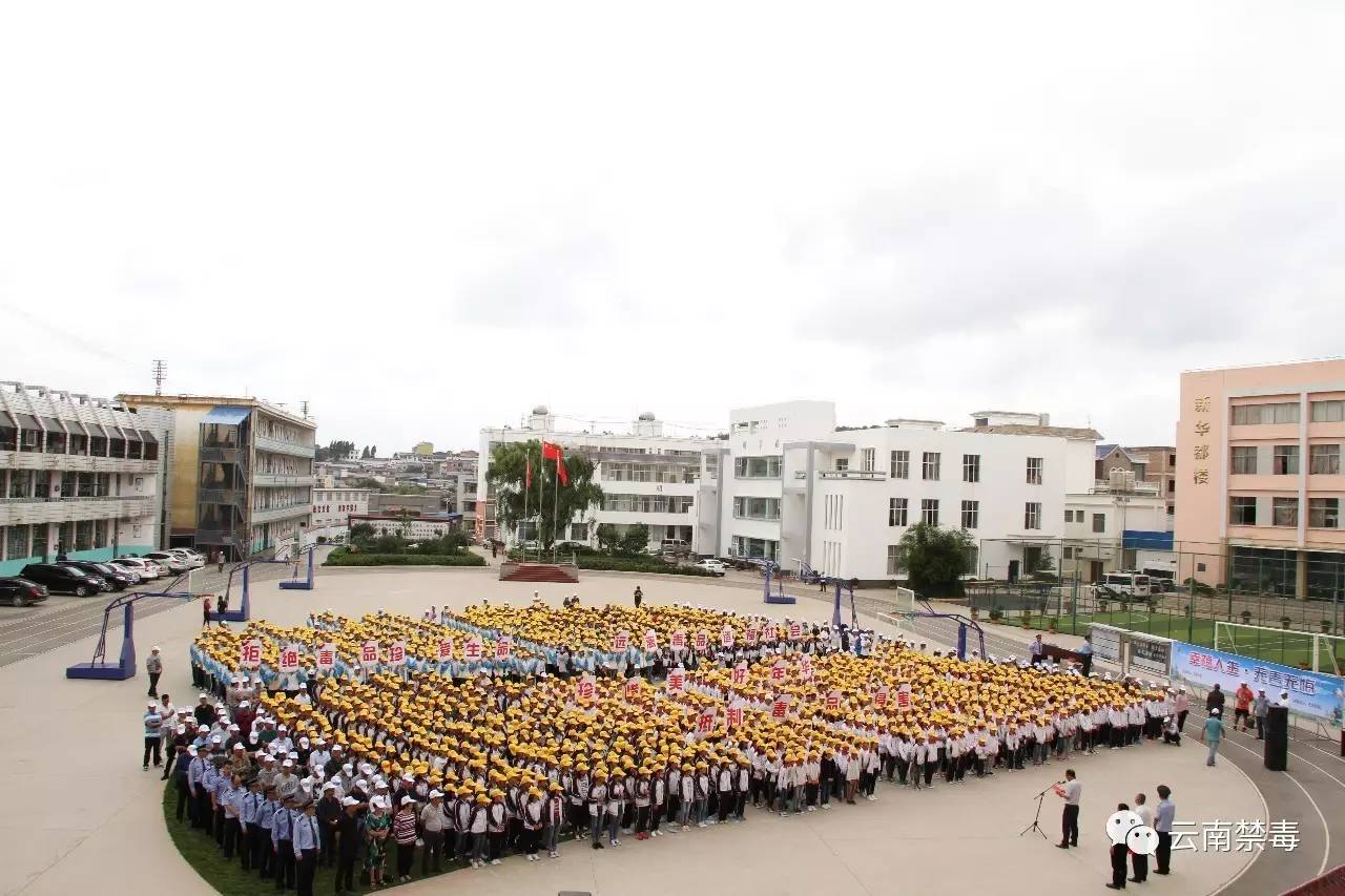 两千余人参与,泸西开展“6.26”国际禁毒日主题宣传活动