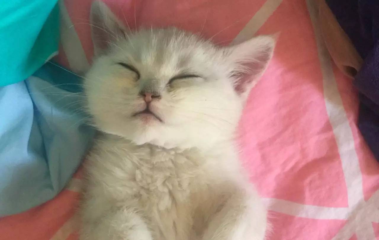 钱是最可靠的东西可以带来安全感,最有安全感的东西就是钱