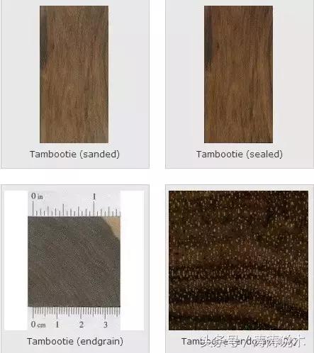 「识木」非洲檀香(檀香花梨)与螺穗木