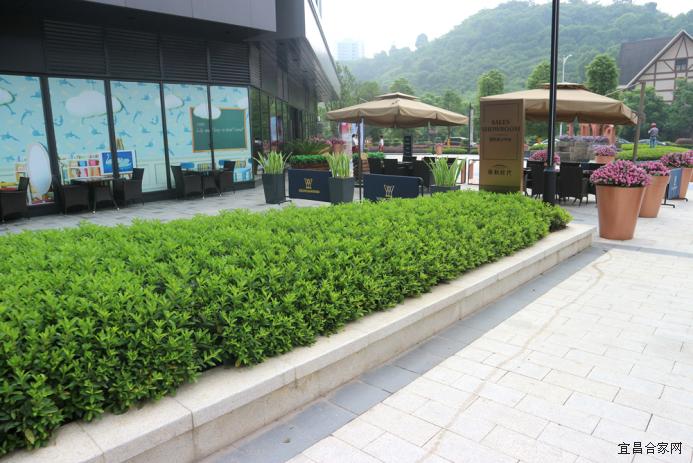 宜昌保利时代的房子值得买吗,保利时代看房