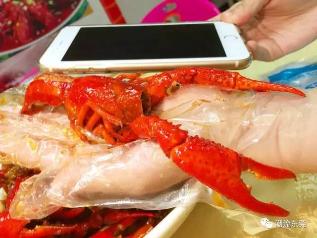 东莞城区小龙虾推荐,东莞小龙虾店推荐