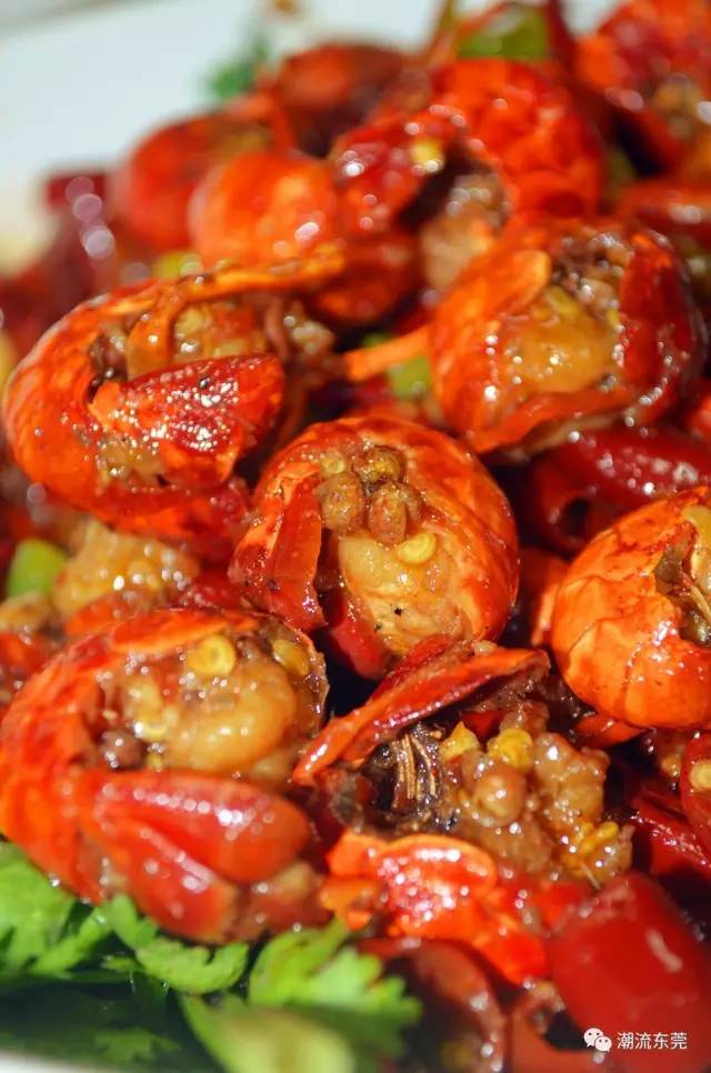 东莞城区小龙虾推荐,东莞小龙虾店推荐