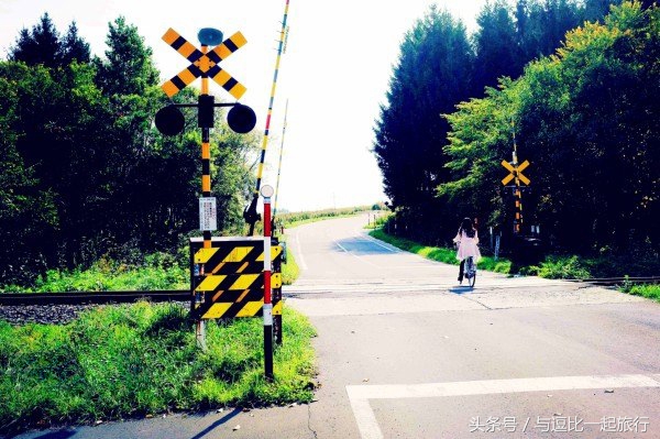 美瑛，地处于北海道的中心位置，素有北海道肚脐之称