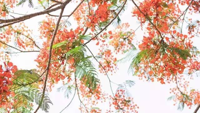 摄影师gyeonlee参加活动,gyeonlee摄影师