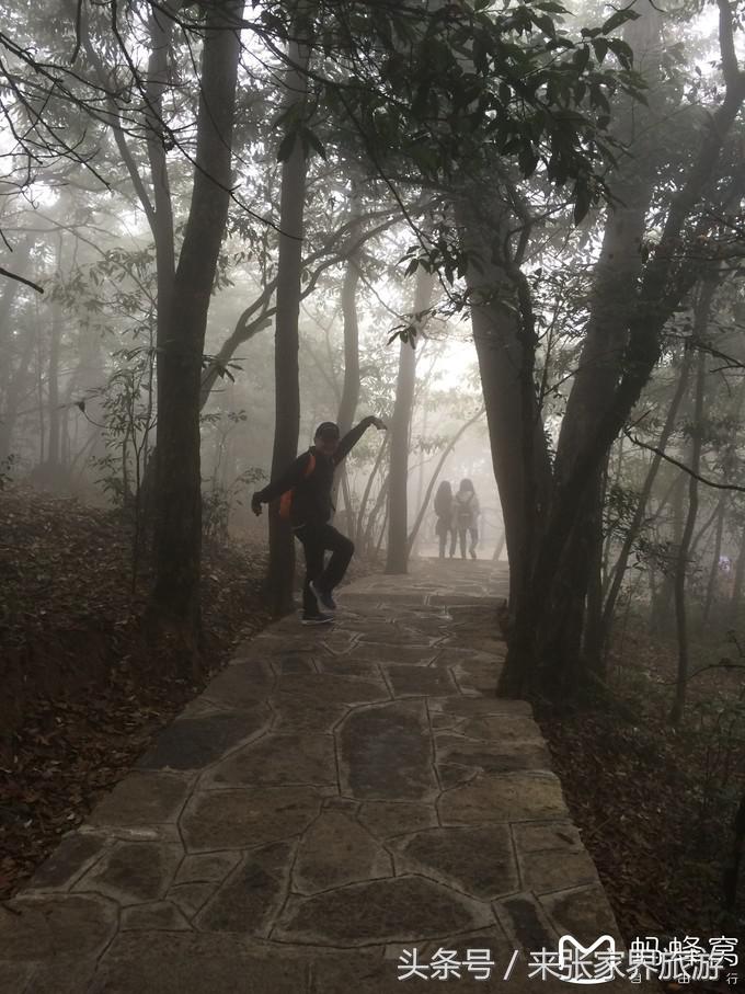 长沙到张家界凤凰五日游,深圳到张家界5天游攻略