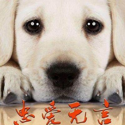 忠爱无言终其一生,忠爱无言相濡以沫