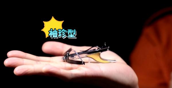 灏忓鐜╃殑鏈ㄨ川寮撳缉鏈夊鍗遍櫓,灏忓鐜╃殑寮撳缉鏈夊鍗遍櫓