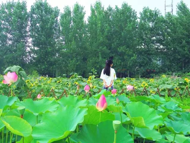 西源大道1号四川大学锦城学院,川大锦城学院西源