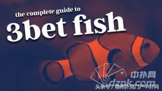 poker如何提升牌技,poker提高牌技