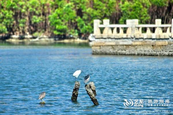 厦门五天游玩攻略大全最新,厦门五天游玩攻略大全最新路线