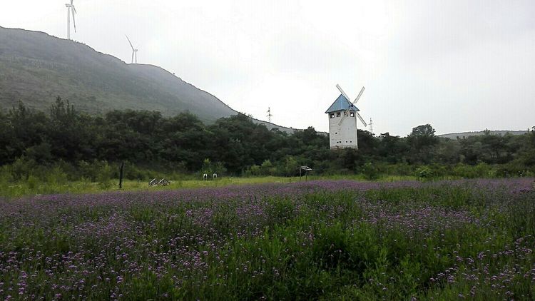 幼儿园毕业班夏令营活动,幼儿园大班毕业夏令营走进小学