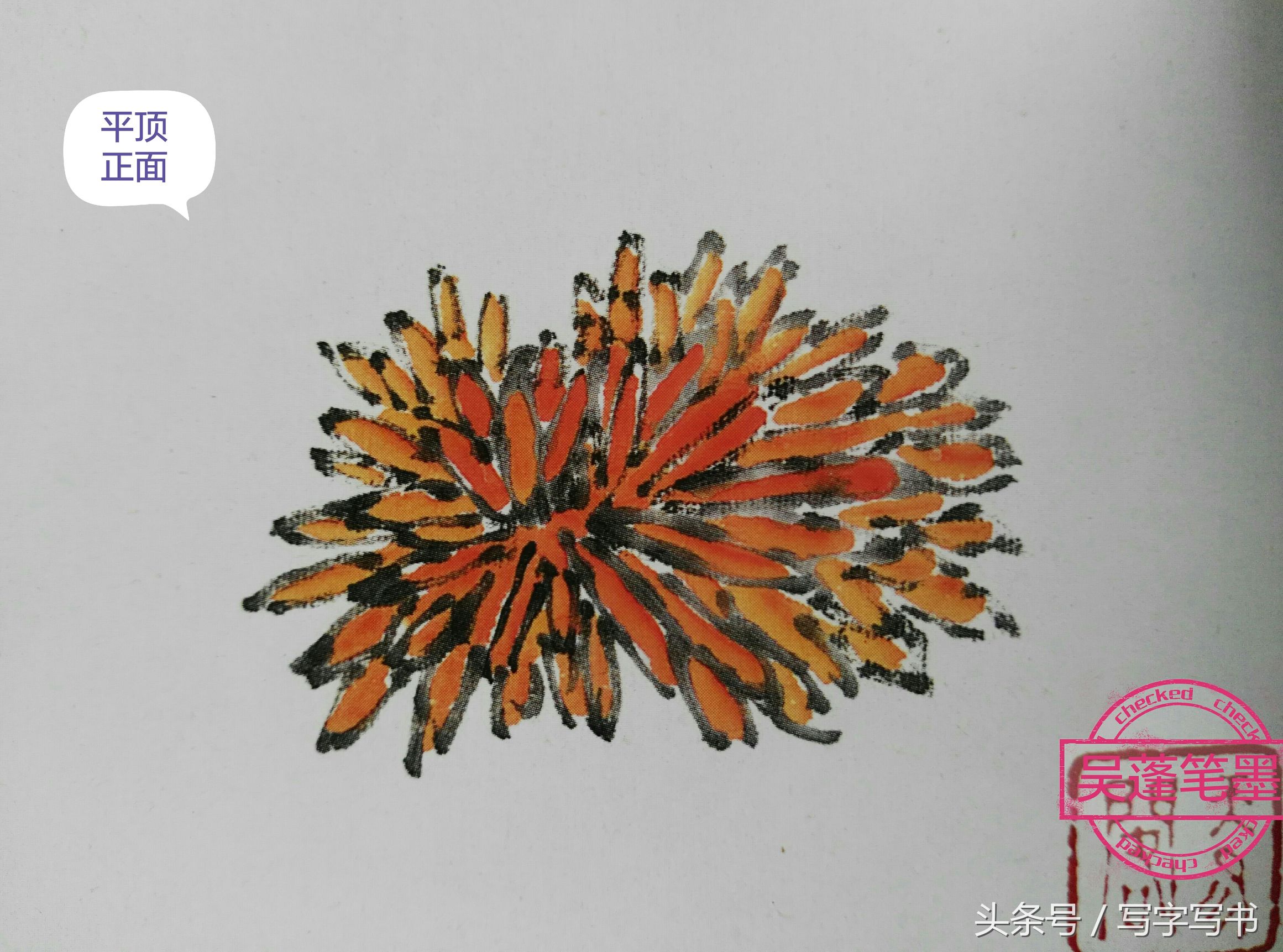 工笔画梅兰竹菊画法大全第一部分,墨牡丹花画法技巧