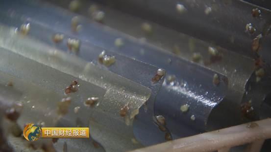 十亩水库养鱼一年收益,一亩鱼塘养鱼的收益