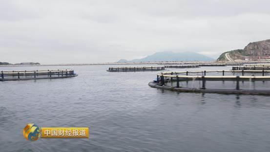 十亩水库养鱼一年收益,一亩鱼塘养鱼的收益