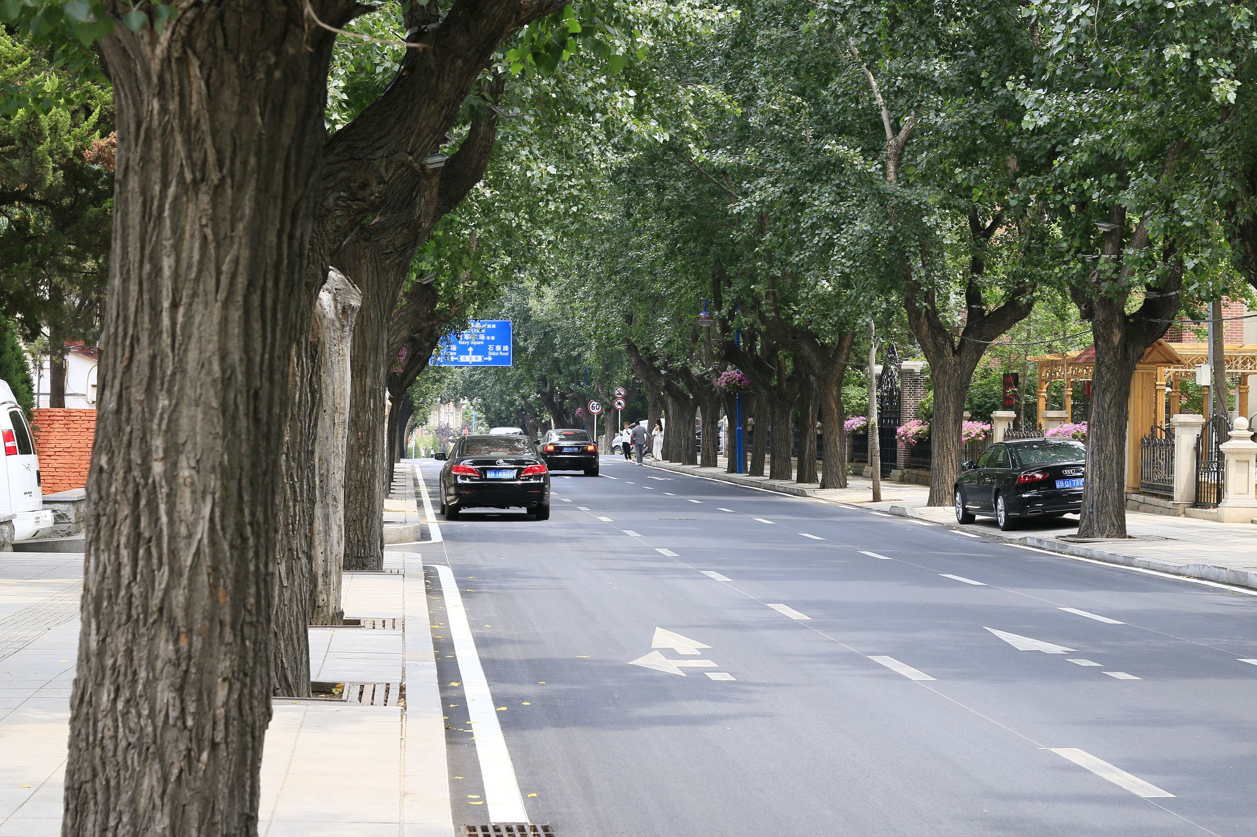 佳能70d配24mm头图片,佳能70d配18-55镜头怎么样