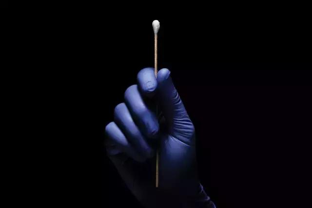 dna复制新发现,人类dna复制过程