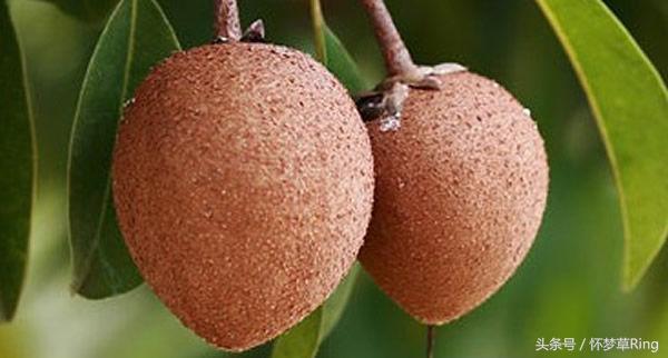 三亚必吃的十大水果排名,海南三亚最爱吃的水果