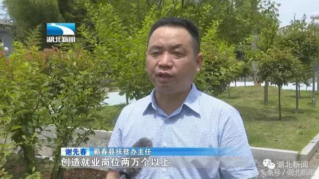 蕲春艾草在湖北什么地方最有名的,蕲春县有名的艾草