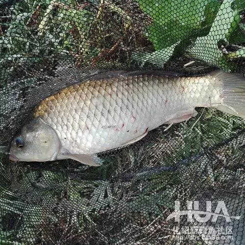 竿长跟漂的关系,竿长与漂重