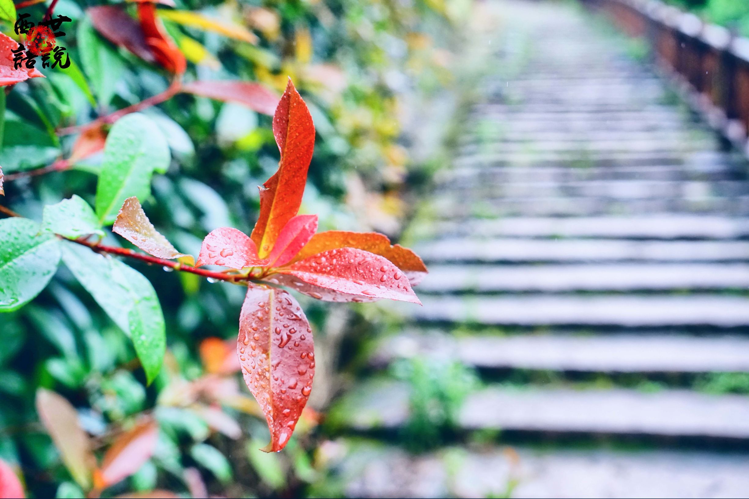 矾山矾矿遗址福德湾旅游攻略,福德湾矾矿遗址