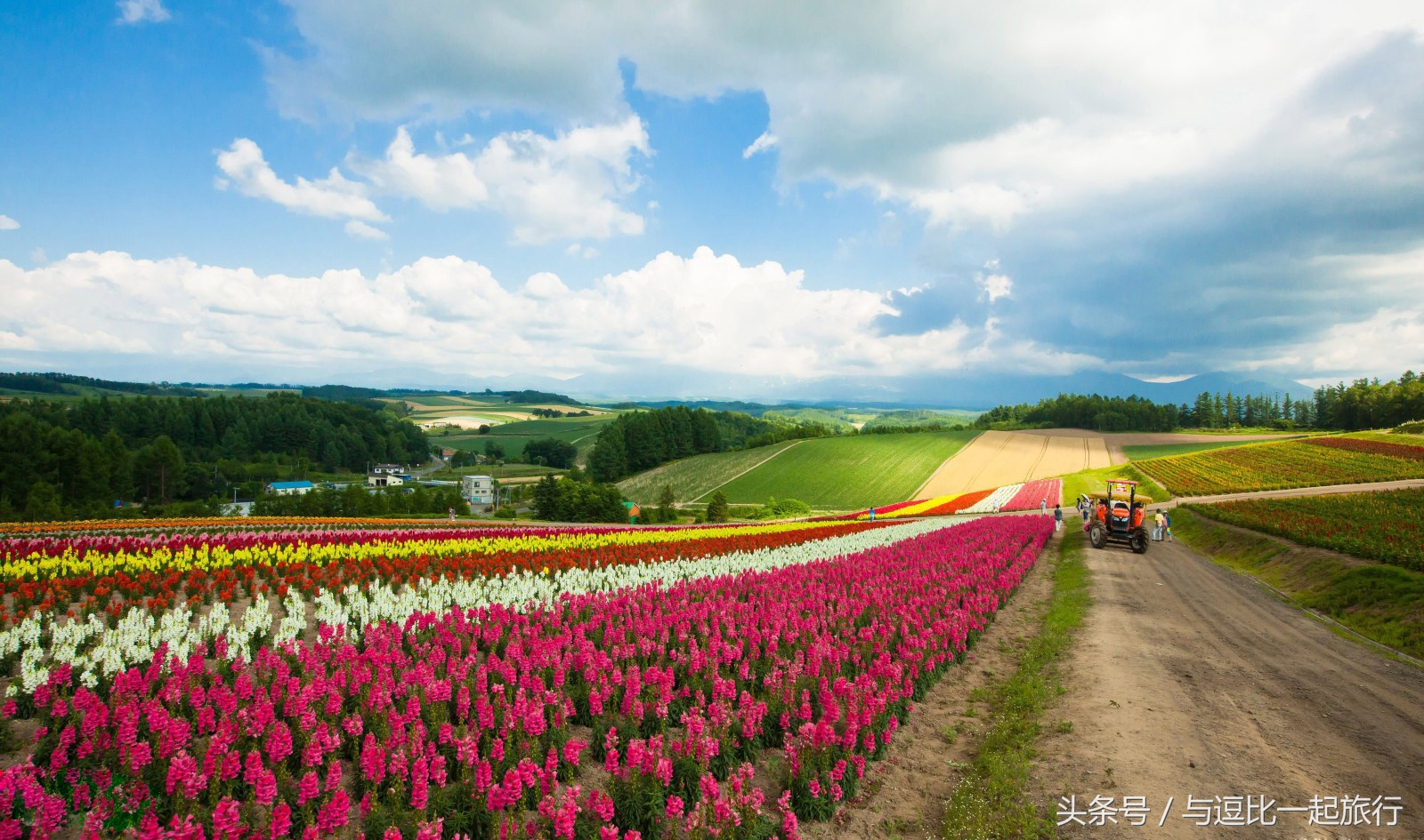 美瑛，地处于北海道的中心位置，素有北海道肚脐之称