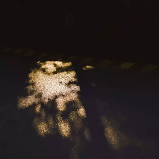 摄影师gyeonlee参加活动,gyeonlee摄影师