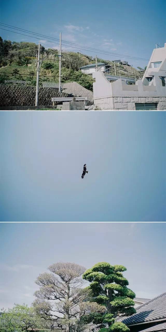 摄影师gyeonlee参加活动,gyeonlee摄影师