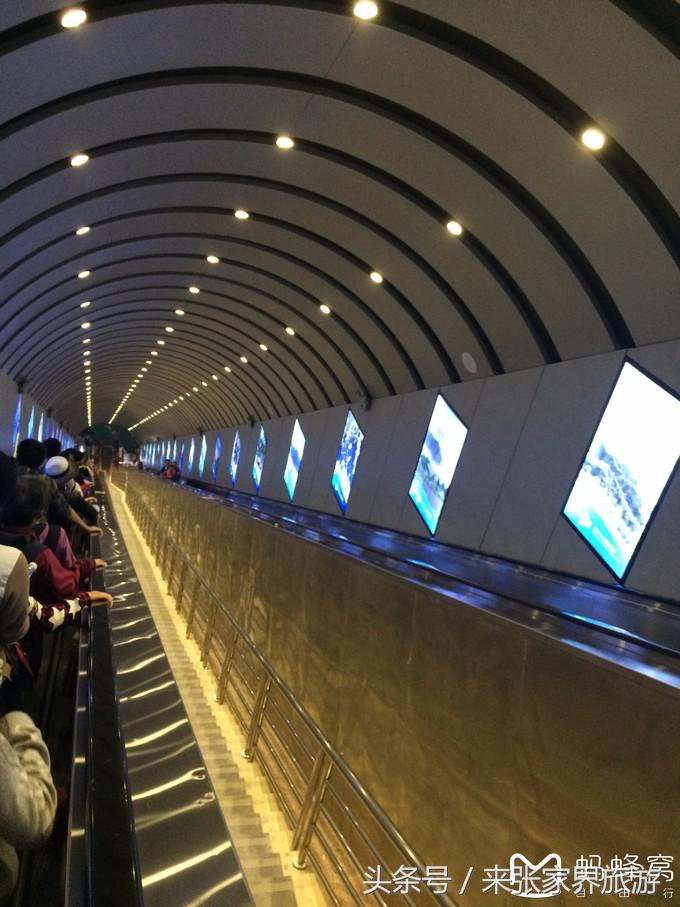 长沙到张家界凤凰五日游,深圳到张家界5天游攻略