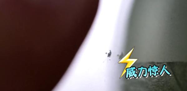 灏忓鐜╃殑鏈ㄨ川寮撳缉鏈夊鍗遍櫓,灏忓鐜╃殑寮撳缉鏈夊鍗遍櫓