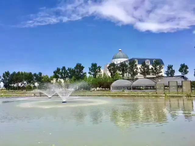 西源大道1号四川大学锦城学院,川大锦城学院西源