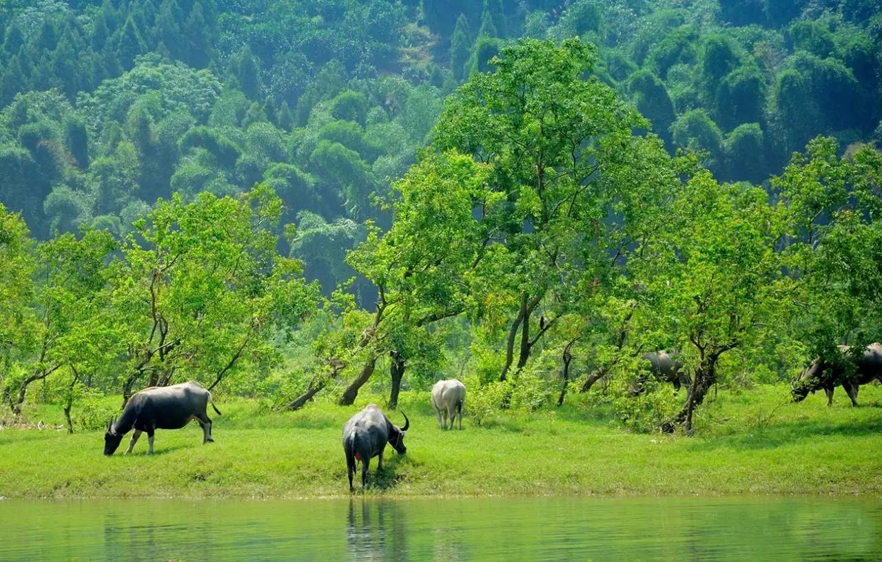 诗情画意广西,广西诗情画意