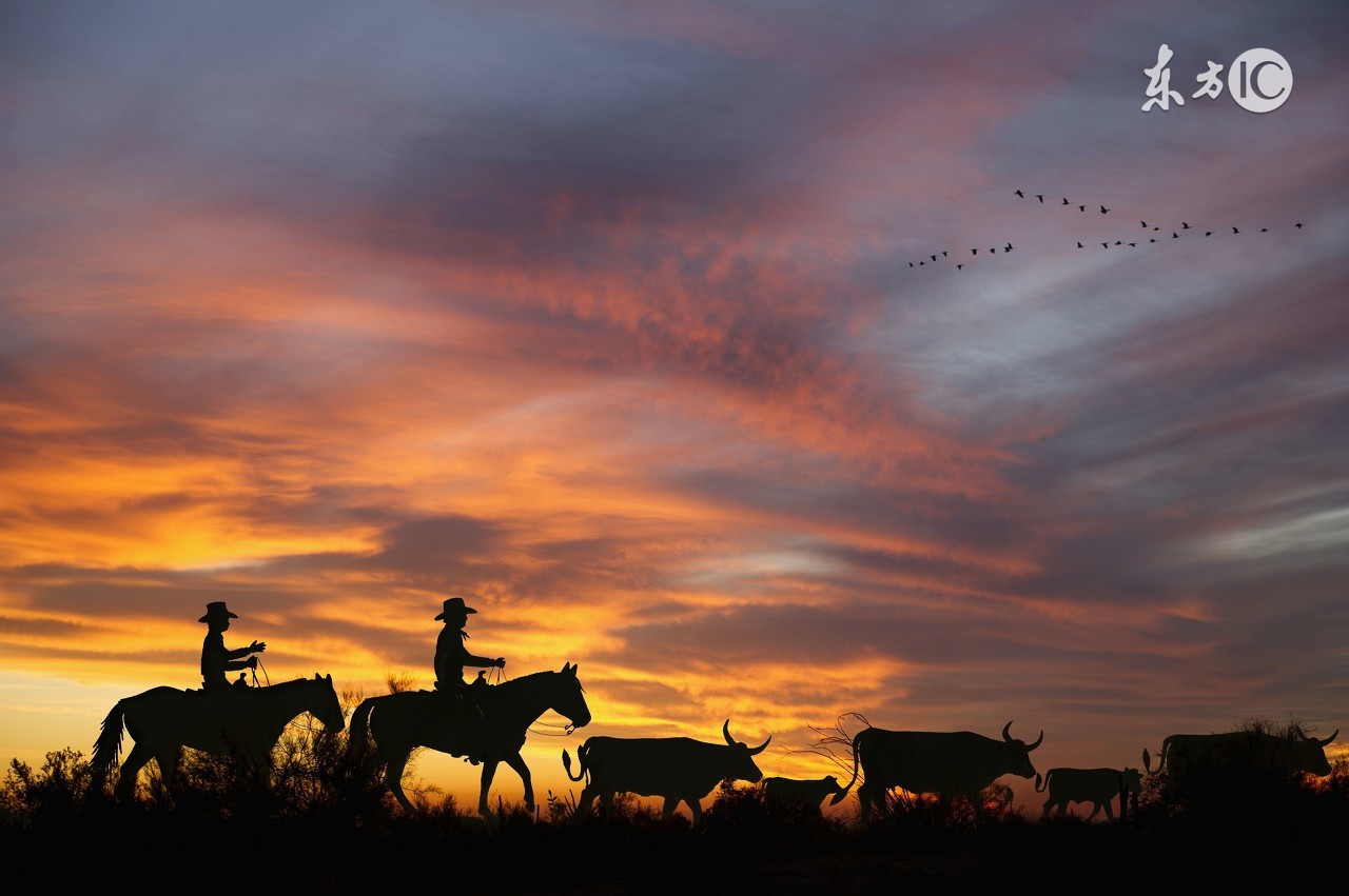 低潮时享受人生的感受,高潮低谷皆是经历