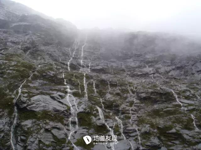 痛哭！即使今天抢不到新西兰打工旅行签证，也不能放弃新西兰啊！