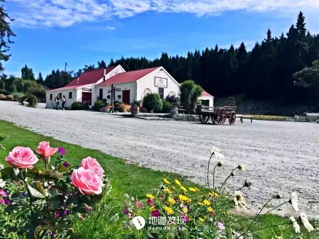 痛哭！即使今天抢不到新西兰打工旅行签证，也不能放弃新西兰啊！