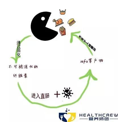 吃屎减肥？为了减肥也是蛮拼的