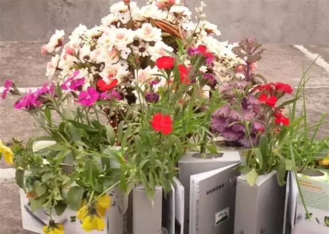 农业最赚钱的十种模式,农业创业致富的5个方法