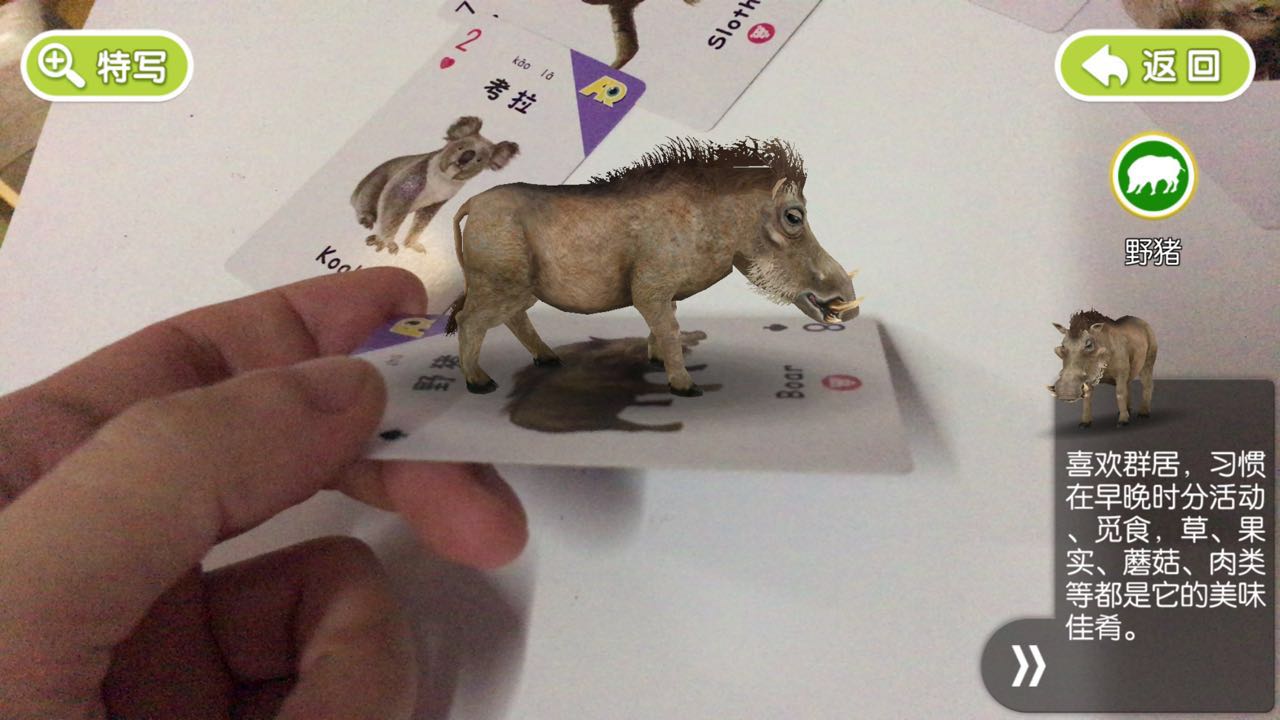 没想到你是这样的网易云原版,ar扑克