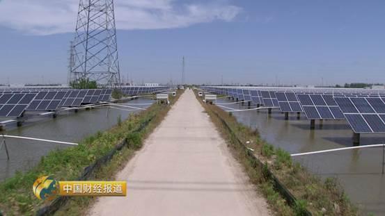 十亩水库养鱼一年收益,一亩鱼塘养鱼的收益