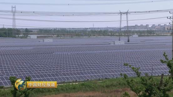 十亩水库养鱼一年收益,一亩鱼塘养鱼的收益