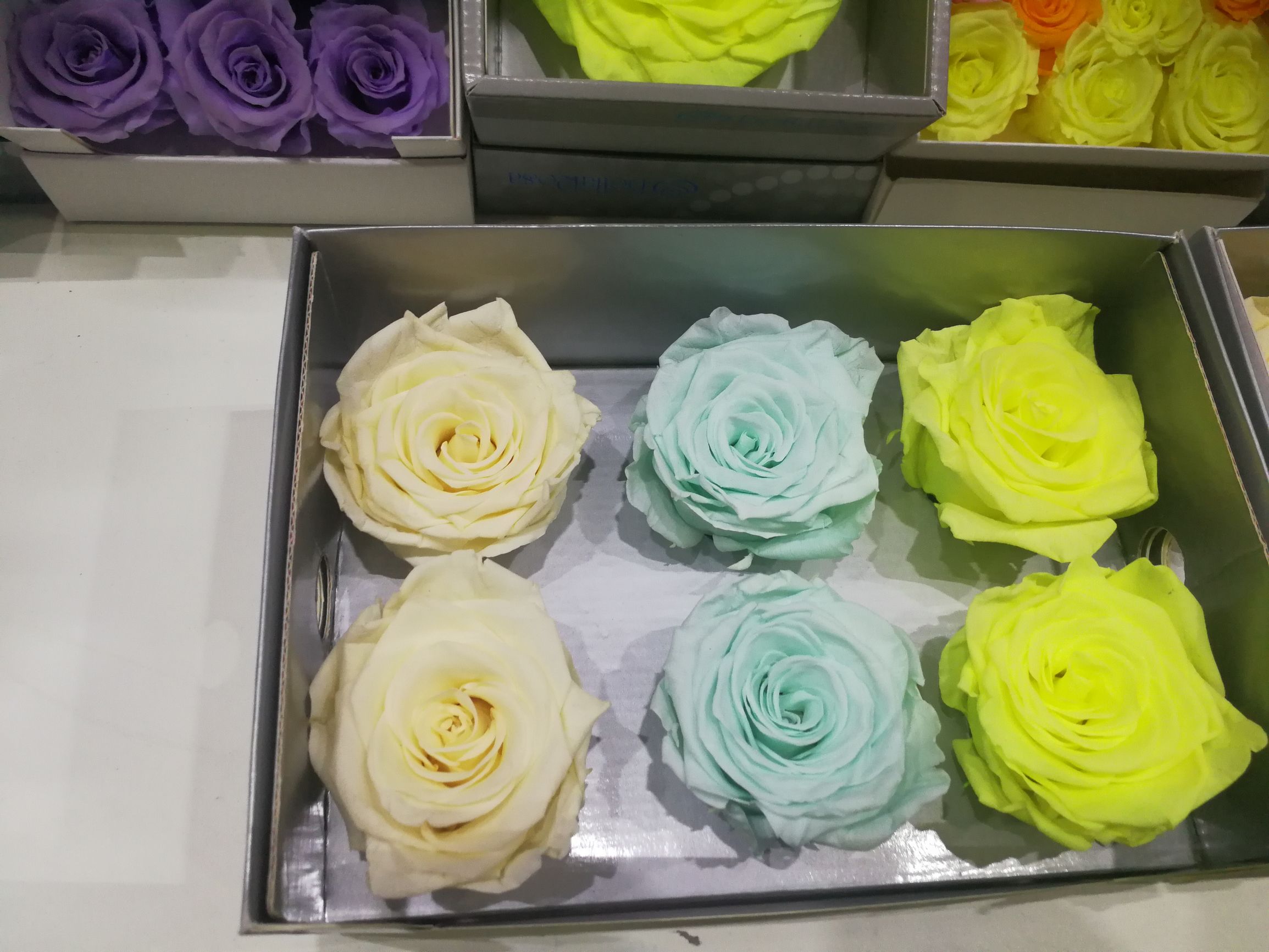 你想要的品质和质量,永生花价格一般多少钱