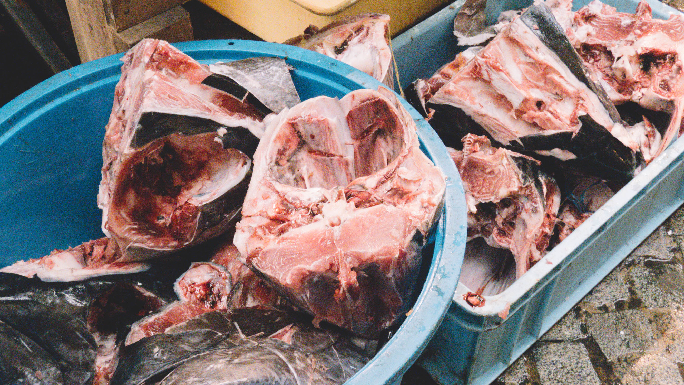 东京镰仓横滨旅游攻略,东京镰仓箱根伊豆富士山路线