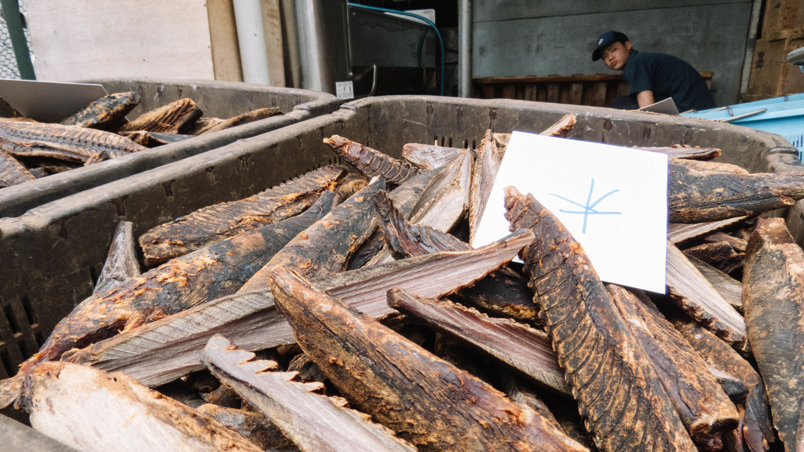 东京镰仓横滨旅游攻略,东京镰仓箱根伊豆富士山路线
