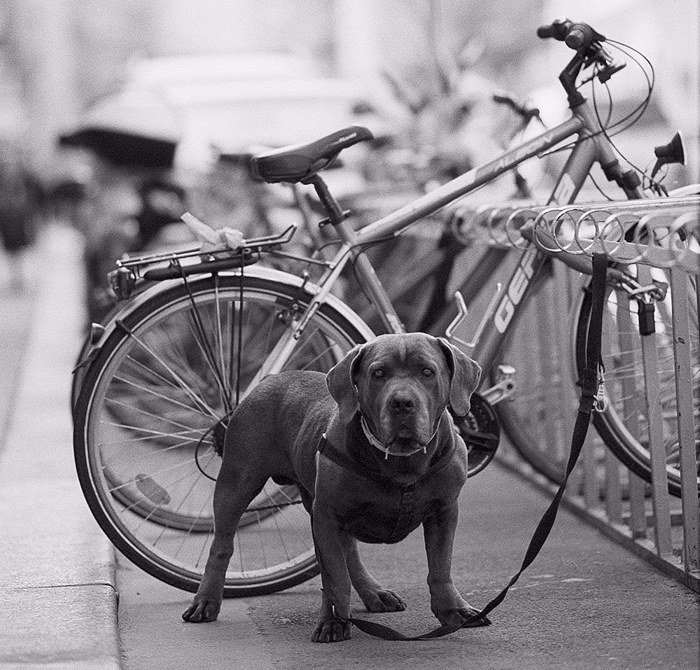 降低骑行摔伤的技巧与方法,自行车骑行伤病