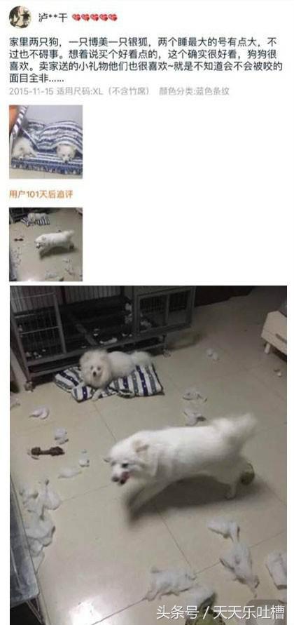 淘宝买家秀搞笑衣服缩水,爆笑买家卖家秀