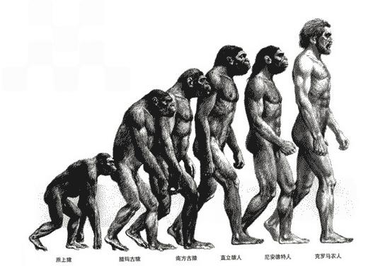 历史必背顺口溜八句,100句中国历史重要年代顺口溜