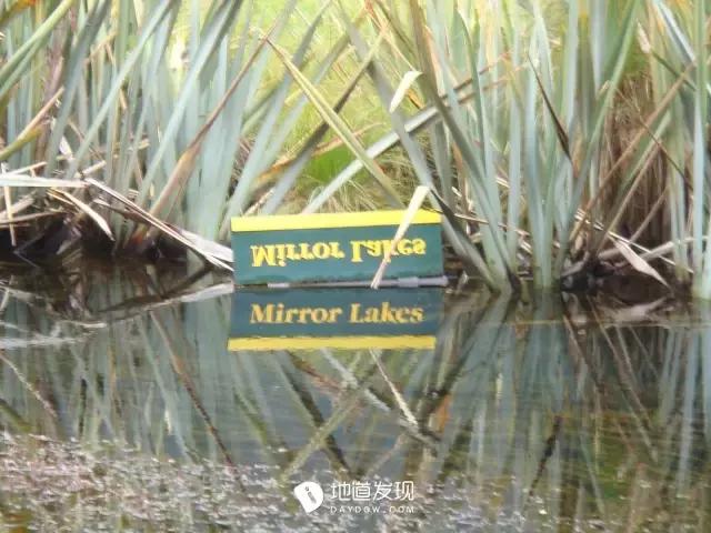 痛哭！即使今天抢不到新西兰打工旅行签证，也不能放弃新西兰啊！