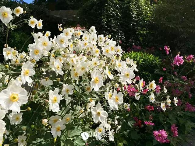 痛哭！即使今天抢不到新西兰打工旅行签证，也不能放弃新西兰啊！