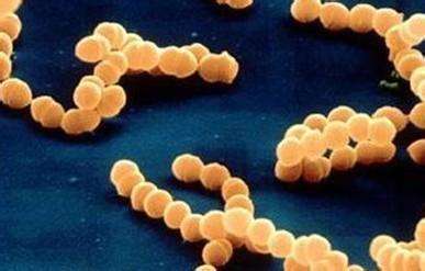 突然起皮疹是什么原因,皮疹是什么原因引起的