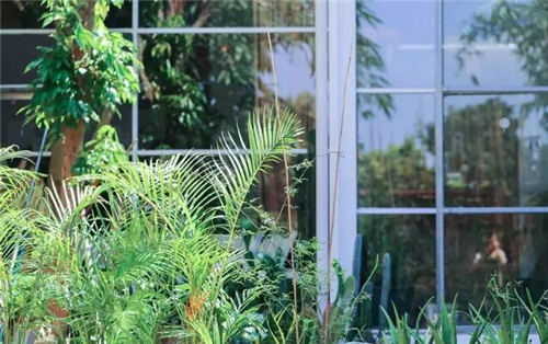 四川90后姑娘花10000元自建房,90后姑娘花八十万回农村建别墅