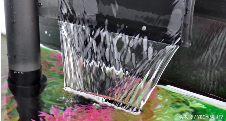 鱼缸不是特别清澈,鱼缸是不是越简单越好